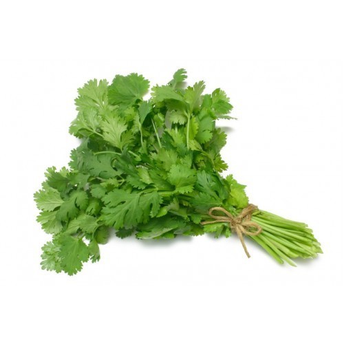 Coriander (Dhaniya)