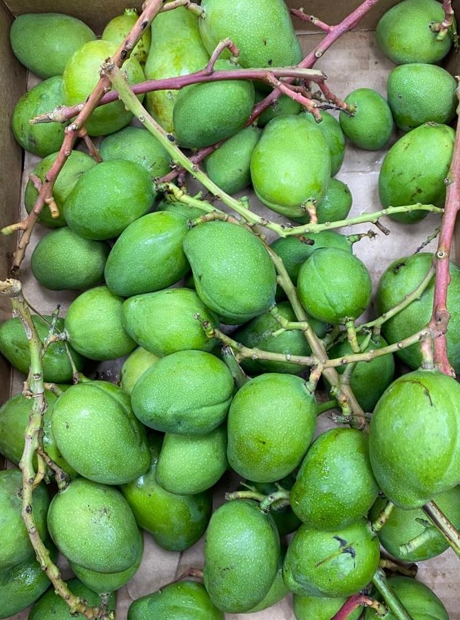Green Mangoes (Raw Mangoes) 250g