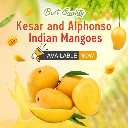 Bombay Basket Offers