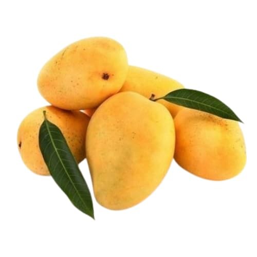 Farm Fresh Indian Alphonso Mangoes (6 Pieces) - Non Refundable