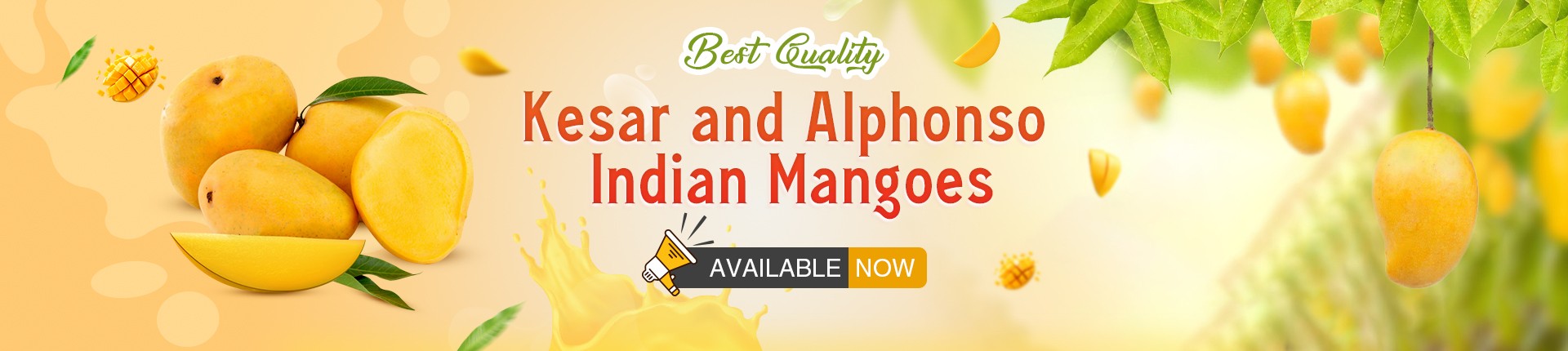 Bombay Basket Offers