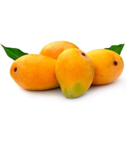 Farm Fresh Indian Kesar Mangoes (6 Pieces) - Non Refundable