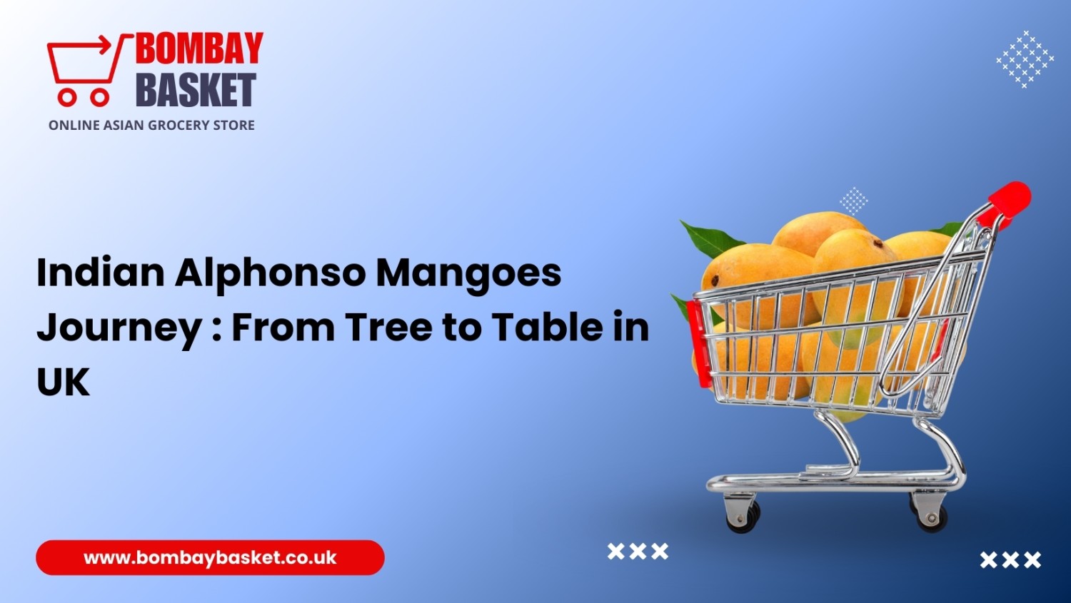 Indian Alphonso Mangoes Journey : From Tree to Table in UK